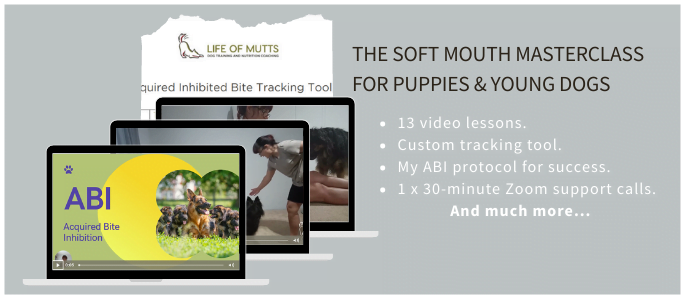 Soft Mouth Masterclass Course